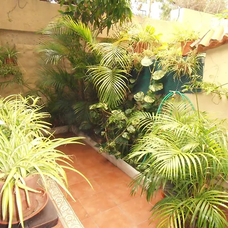 Oasis Garden Appartement *